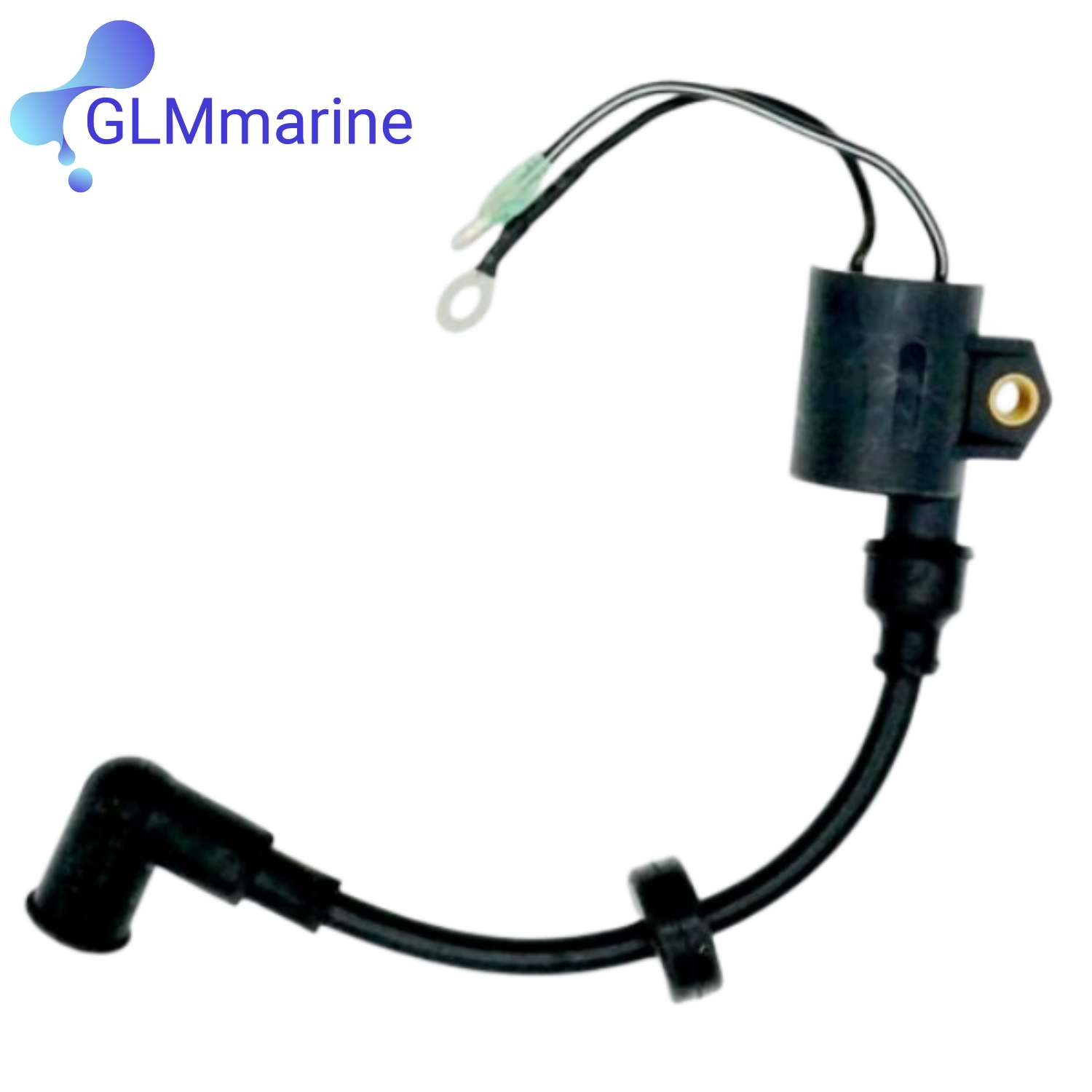 2 Pcs Ignition Coil Assy 61N-8 - Spark Plug review and price